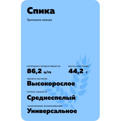 СПИКА