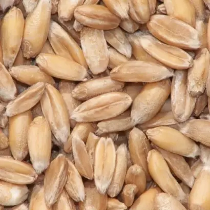 НЕМЧИНОВСКИЙ 56