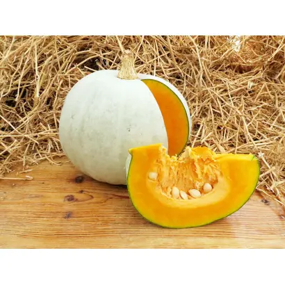 ГРИБОВСКАЯ ЗИМНЯЯ