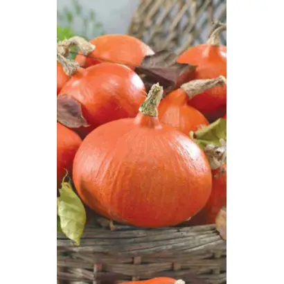 СЛАДКИЕ КАРАВАИ