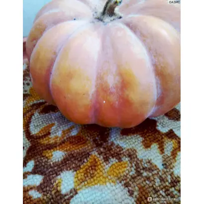 ОСЕННЯЯ КРАСАВИЦА