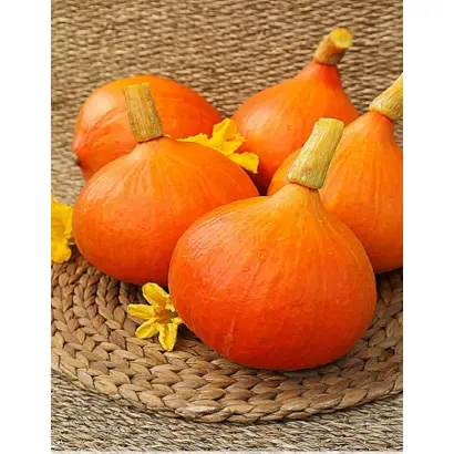 ЯПОНСКАЯ ПРИНЦЕССА