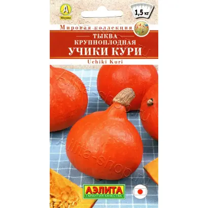 УЧИКИ КУРИ