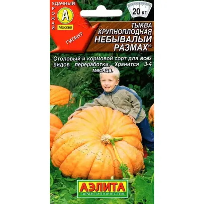 НЕБЫВАЛЫЙ РАЗМАХ