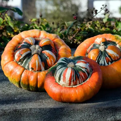 ТУРЕЦКАЯ ЧАЛМА