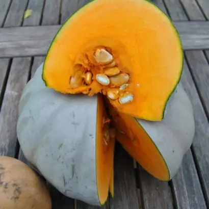 КРАУН ПРИНЦ