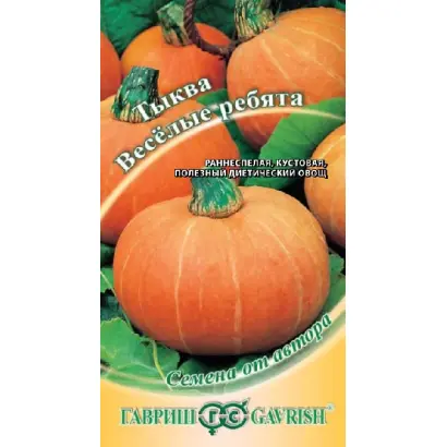 ВЕСЁЛЫЕ РЕБЯТА