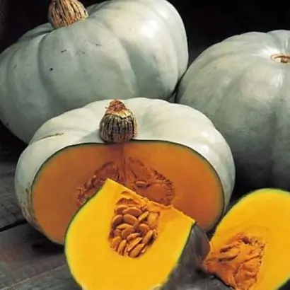 КРОШЕЧКА-ХАВРОШЕЧКА