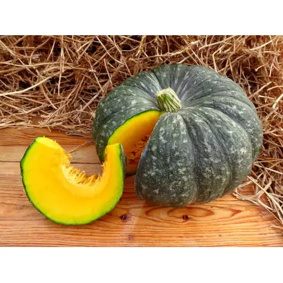 ЗИМНЯЯ СЛАДКАЯ