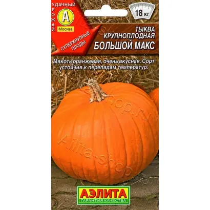 БОЛЬШОЙ МАКС