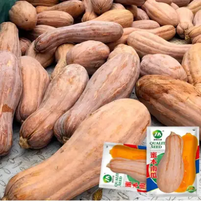 МИЧУРИНСКАЯ