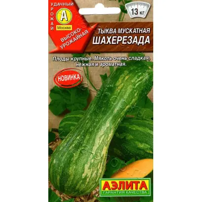 ШАХЕРЕЗАДА