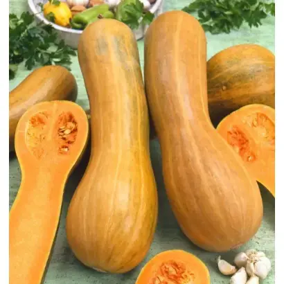 АРАБАТСКАЯ