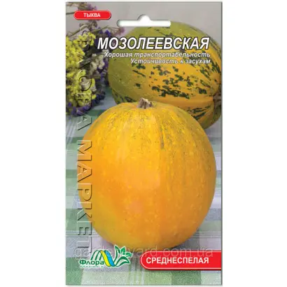 МОЗОЛЕЕВСКАЯ 49