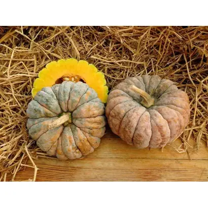 КУРИДЖИМАН