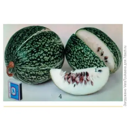 ПАМЯТИ ТАРАКАНОВА