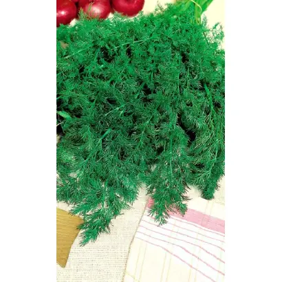 УЗБЕКСКИЙ 243