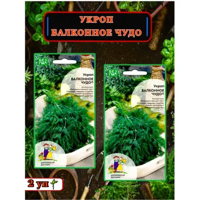 БАЛКОННОЕ ЧУДО