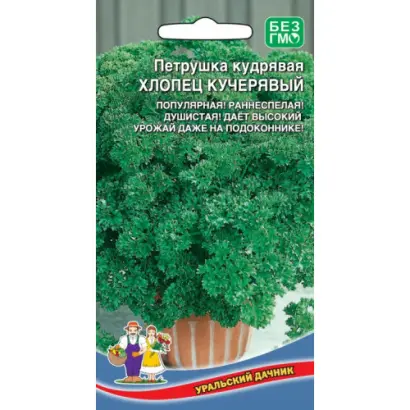 ХЛОПЕЦ КУЧЕРЯВЫЙ