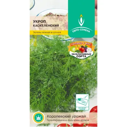 КАСКЕЛЕНСКИЙ