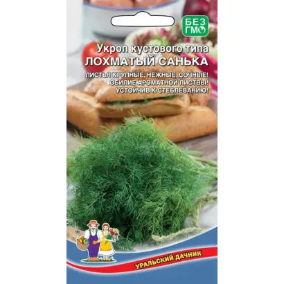 ЛОХМАТЫЙ САНЬКА