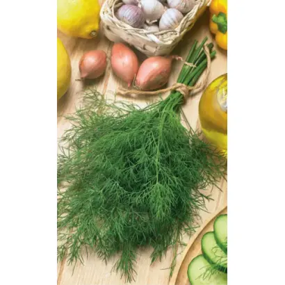 ДИВО ДИВНОЕ