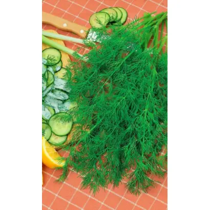 ГЕНЕРАЛЬСКИЙ