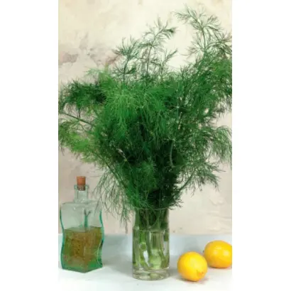 РУССКИЙ ДЕЛИКАТЕС