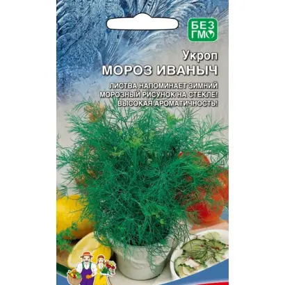 МОРОЗ ИВАНЫЧ