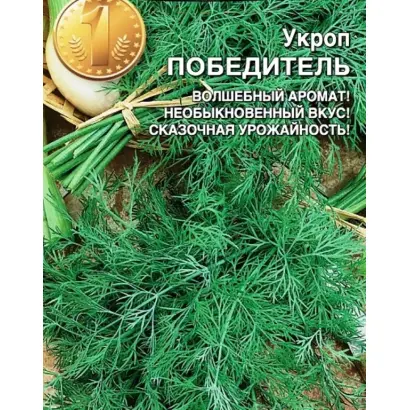 ПОБЕДИТЕЛЬ