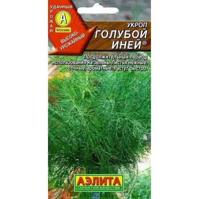 ГОЛУБОЙ ИНЕЙ