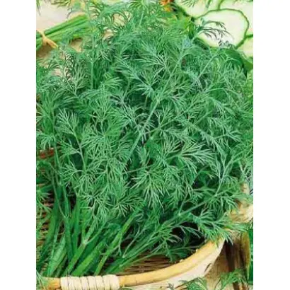 АРОМАТНЫЙ БУКЕТ