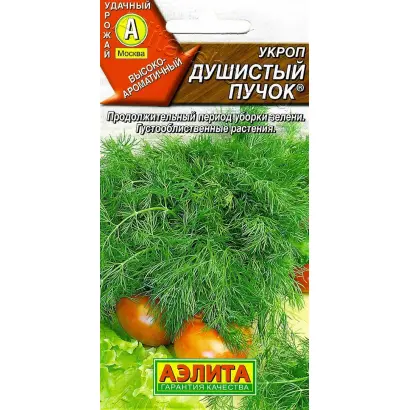 ДУШИСТЫЙ ПУЧОК