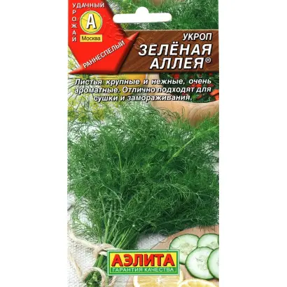 ЗЕЛЕНАЯ АЛЛЕЯ