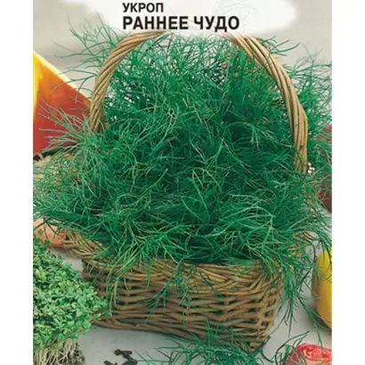 РАННЕЕ ЧУДО