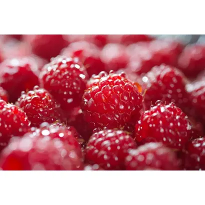 КОМСОМОЛЬСКАЯ ПРАВДА