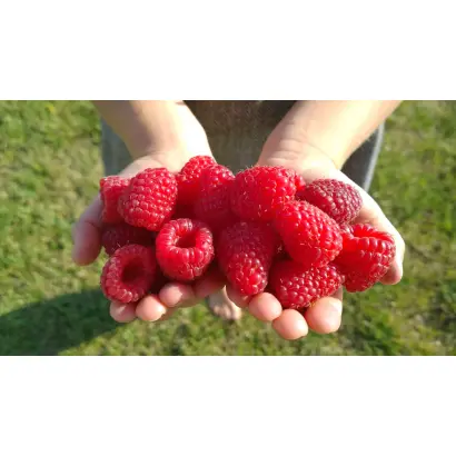 КАРАМЕЛЬКА