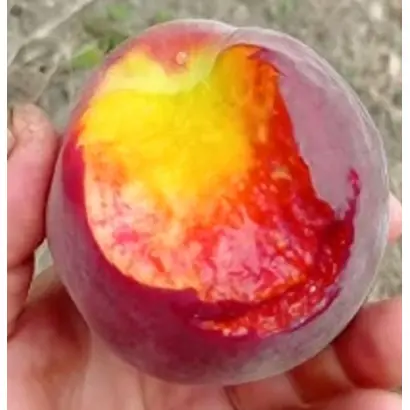 ПАМЯТИ БАБЕНКОВА