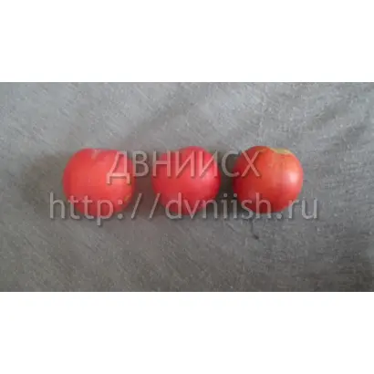 МИСС ХАБАРОВСК