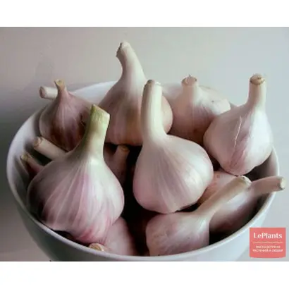 ДУБКОВСКИЙ