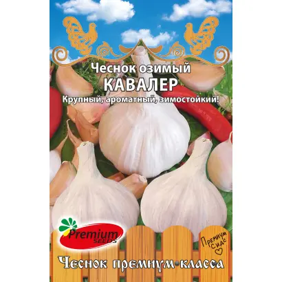 КАВАЛЕР