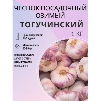 ТОГУЧИНСКИЙ