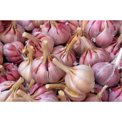 КАЗАКОВСКИЙ