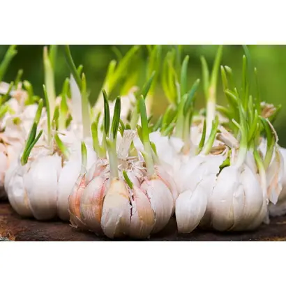 БЕЛОЗЕРОВСКИЙ