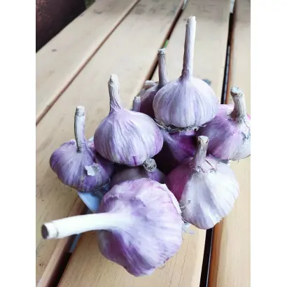 ЮБИЛЕЙНЫЙ 07