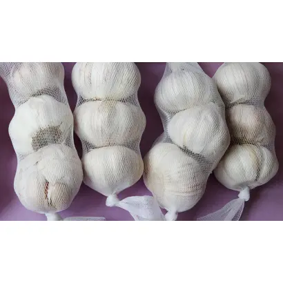 ПОДНЕБЕСНЫЙ