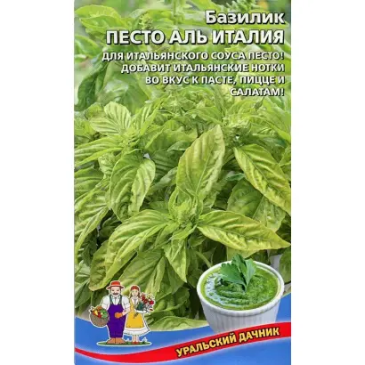 ПЕСТО АЛЬ ИТАЛИЯ