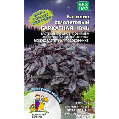 БАРХАТНАЯ НОЧЬ