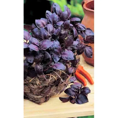 СТАРЫЙ ЕРЕВАН