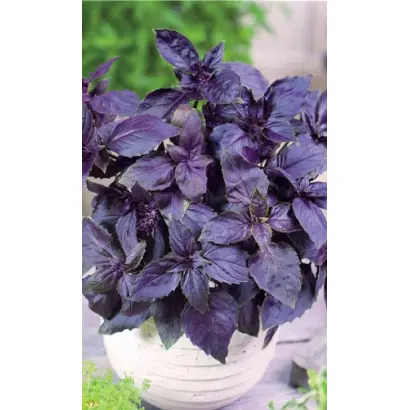 АРОМАТНЫЙ ГУЛЯШ